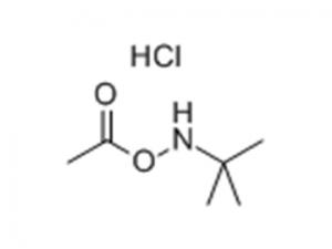 O-乙酰基-N-叔丁基羟胺盐酸盐