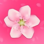 草莓短视频在线观看app免费下载