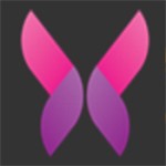 cilicili紫色版本安装