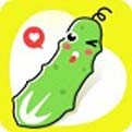 OnlyFans安装包下载地址