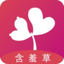 美好的夜晚从花季传媒app在线观看版