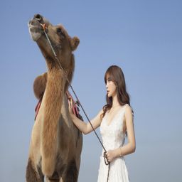 My5527·牢记永不失联：数字时代的安全与便捷指南